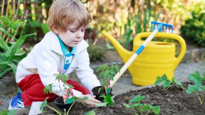 Semana da Atenção à saúde e alimentação infantil